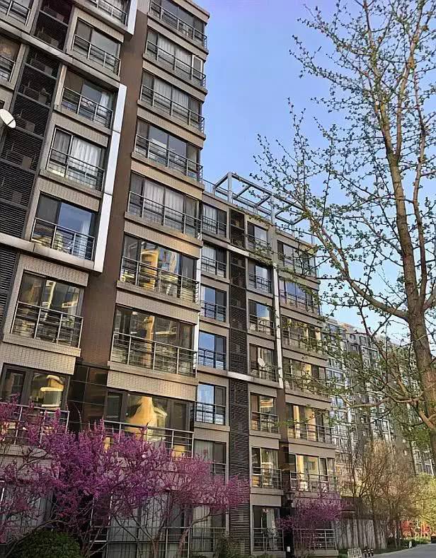 他坚持厕所四分离，装双马桶！入住才知睿智，厨房设计更巧妙！