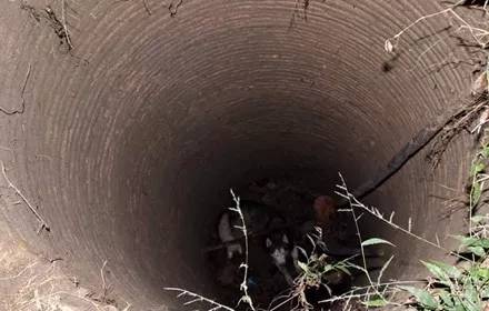 哈士奇失聯，最后在這地方被找到，網友：真不愧是井犬...