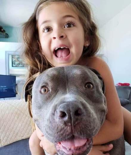 这就是很多人养狗的原因, 网友: 想骗我养狗生女儿