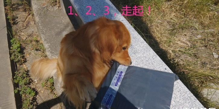 小区最敬业的快递员 上厕所都不忘拿快递 不要运费只要吃的