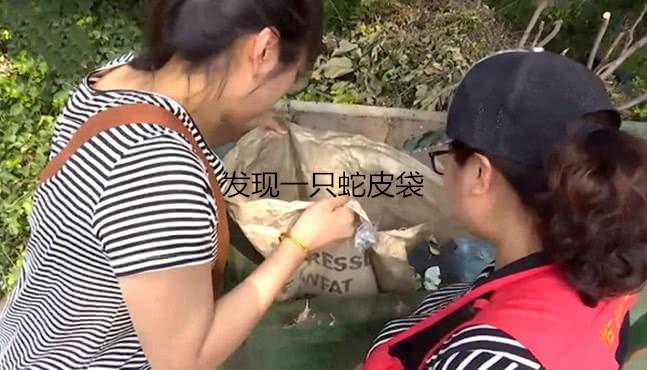 女子下楼倒垃圾时, 听到蛇皮袋里面有怪声, 当她打开后, 顿时愤怒