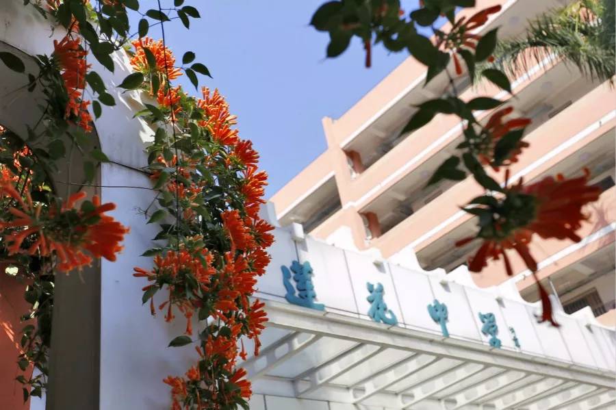 廈大教授戴亦一: 廈學區房較堅挺! 8大熱門學區房單價大起底!