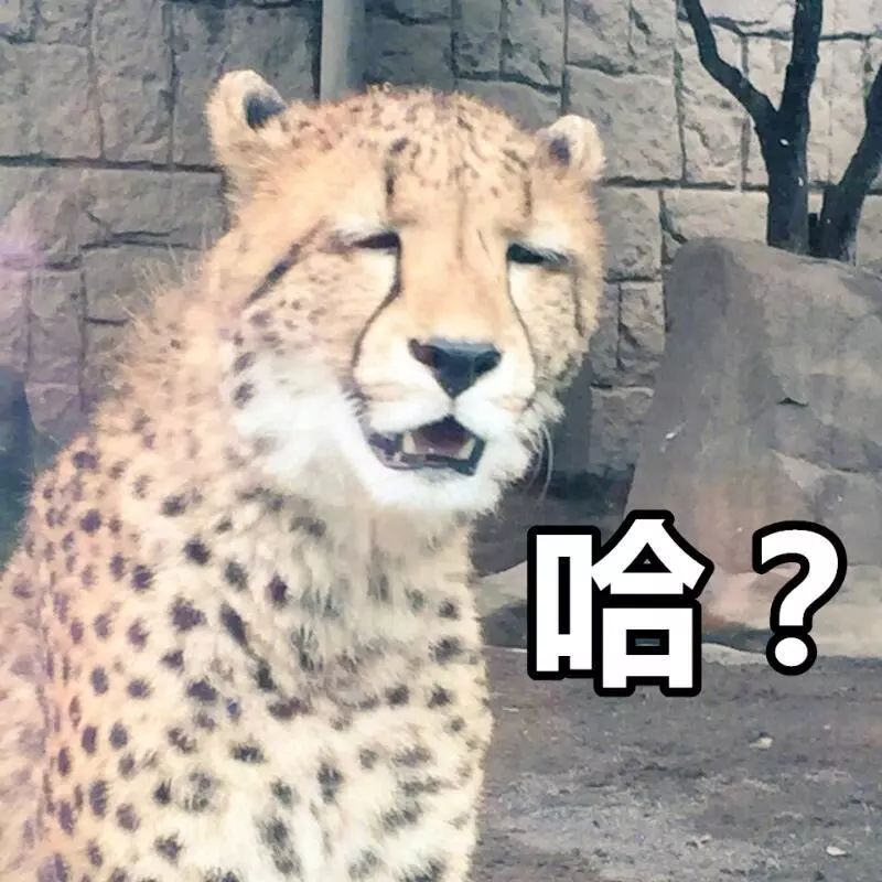 活久见！女子花300万买别墅没有屋顶，开发商: 屋顶算面积！