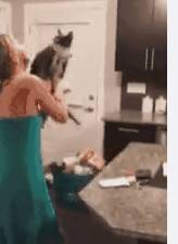 网友意外发现猫咪的新功能, 这个家没猫真不行!