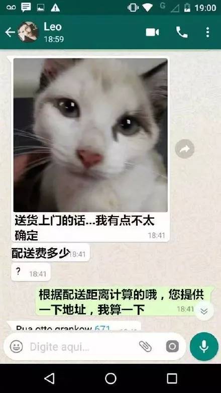都快忘记猫的真实长相了，你们这群人太调皮了