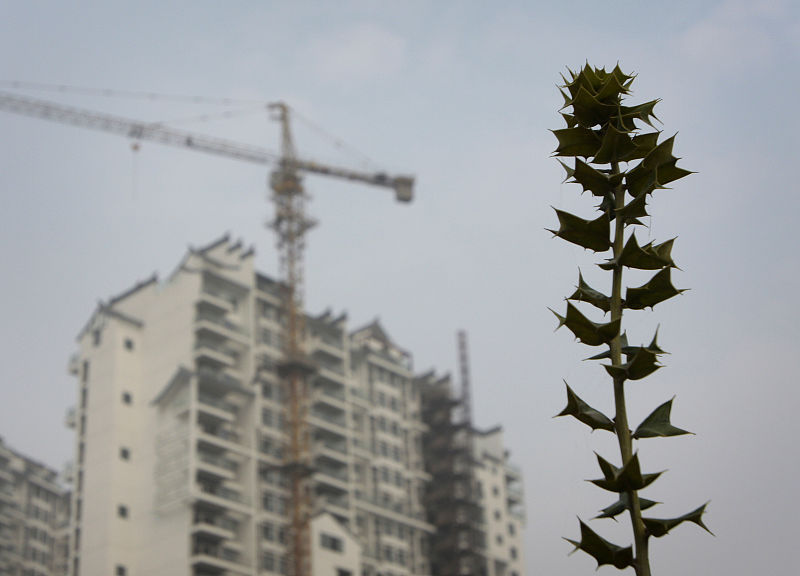 楼市要重复2014年？购房者两个幻象被打破，下半年“剩者为王”