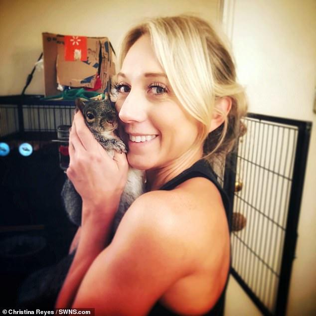 美女救下刚出生一天的小松鼠, 花了10000美元给它买了电视沙发