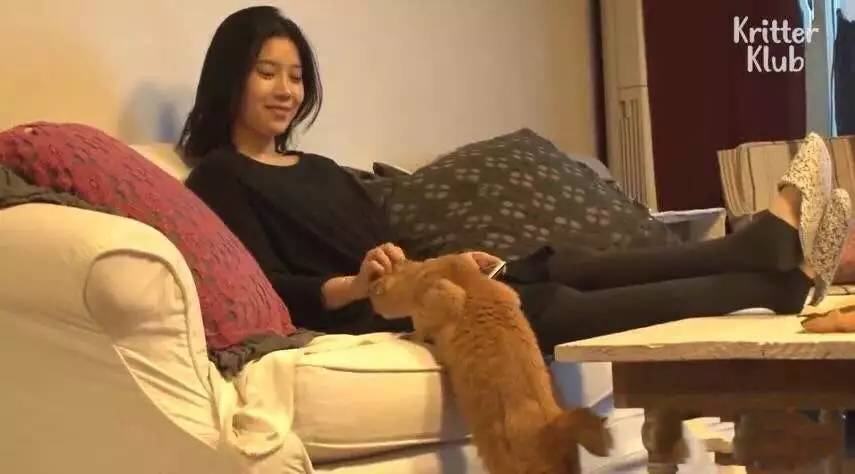 橘猫被遗弃后伤心不已，拒绝进食，暴瘦成纸片，幸好遇见了她