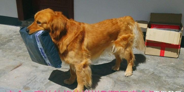 小区最敬业的快递员 上厕所都不忘拿快递 不要运费只要吃的