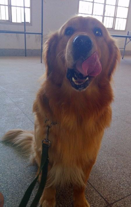 小区最敬业的快递员 上厕所都不忘拿快递 不要运费只要吃的