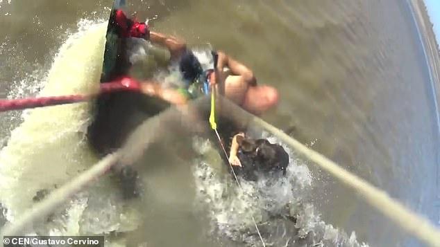 小伙冲浪，被一头狂暴的斗牛犬疯狂袭击，需要补18针