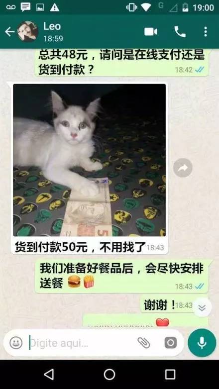都快忘记猫的真实长相了，你们这群人太调皮了
