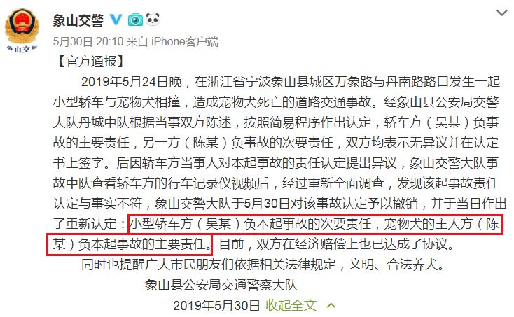 女子开车撞死萨摩耶，主人：我不就是没拴绳吗？！