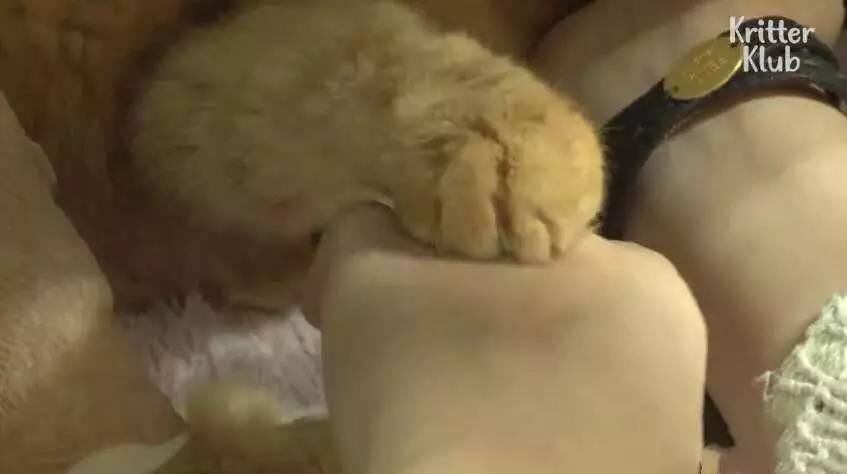 橘猫被遗弃后伤心不已，拒绝进食，暴瘦成纸片，幸好遇见了她