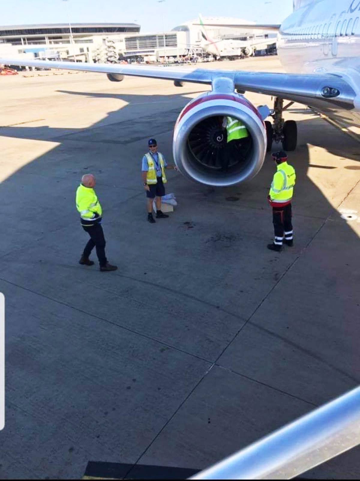 飞机准备起飞时，竟然发现引擎里有个“不明生物”，让人吓出冷汗