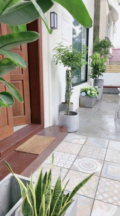 等我们老了，就买个院子吧！养花晒太阳，这么温馨都不想出门了！