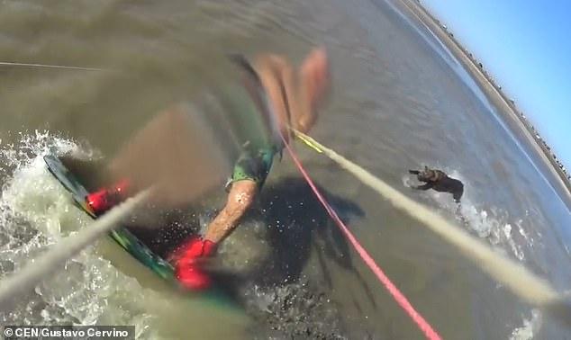 小伙冲浪，被一头狂暴的斗牛犬疯狂袭击，需要补18针
