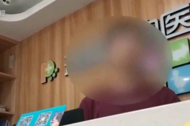 主人嫌猫咪长得丑，花1万元为她的猫做双眼皮整形手术