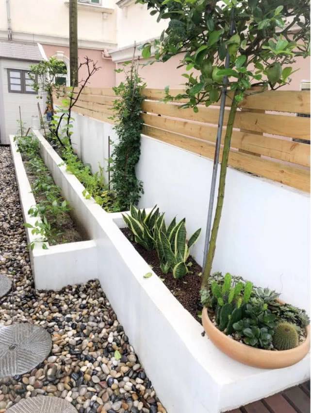 等我们老了，就买个院子吧！养花晒太阳，这么温馨都不想出门了！