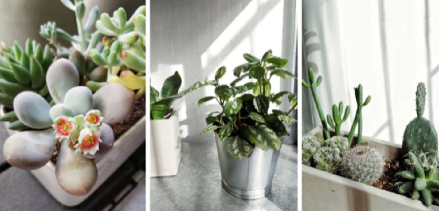 小伙爆改城中村出租房，入住2年房东从未涨租！太漂亮了，晒晒