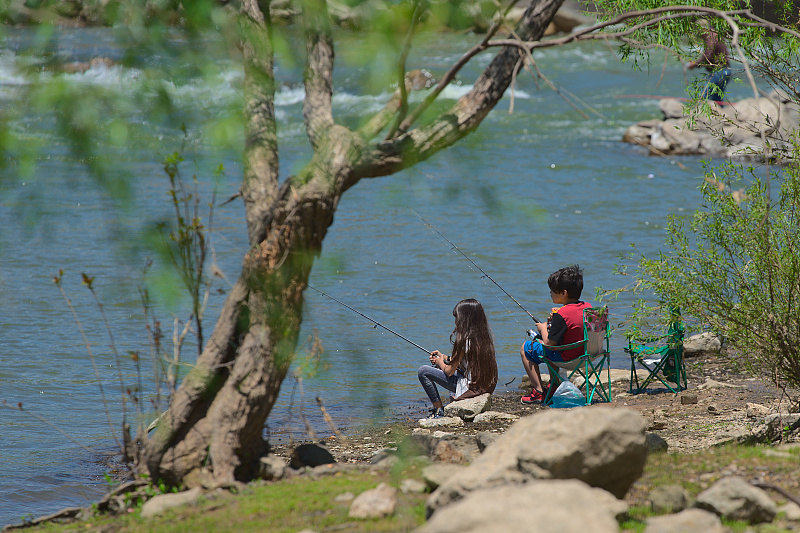 |天热鲫鱼就难钓？记牢这些小细节，再热的天也能连竿上鱼，莫忽视