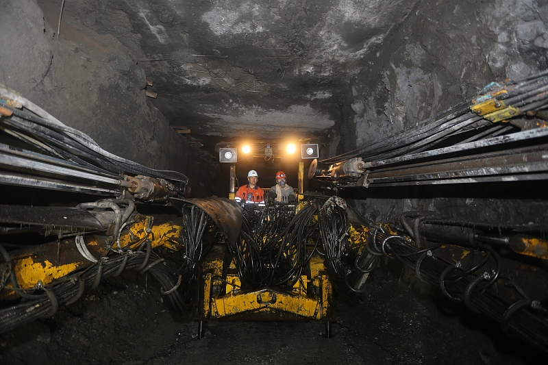 东北大学|东北大学51名新生取消入学资格，高考调剂真的坑，转专业太难了