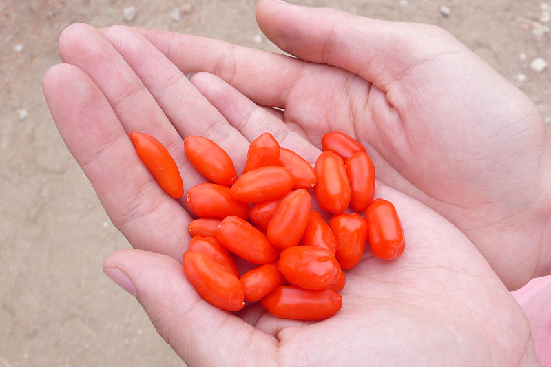 肝脏|肝不好，晨起会有4种表现，养肝谨记：少吃3物，做好3件事