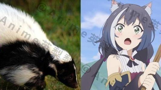 臭鼬娘到底是谁,为何要叫她"接头霸王"?其实她还有别的特长