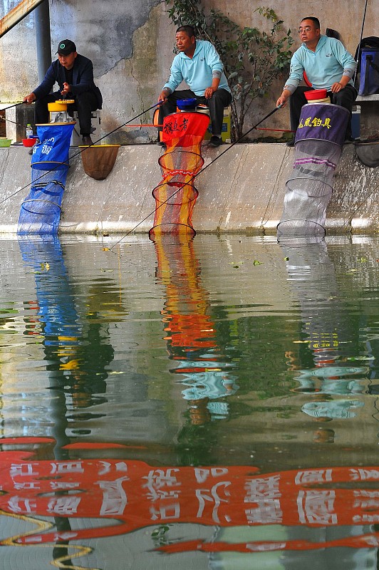 |提醒:越来越多人不用“打窝”来钓鱼了,只用这小物,天天爆护没难度