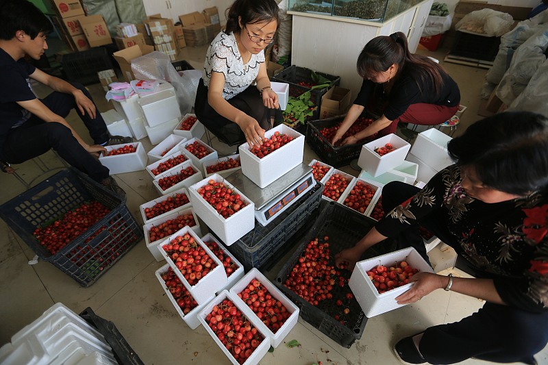 马云■马云“预言”要成真？未来8年，农村有3大领域比投资房产更赚钱