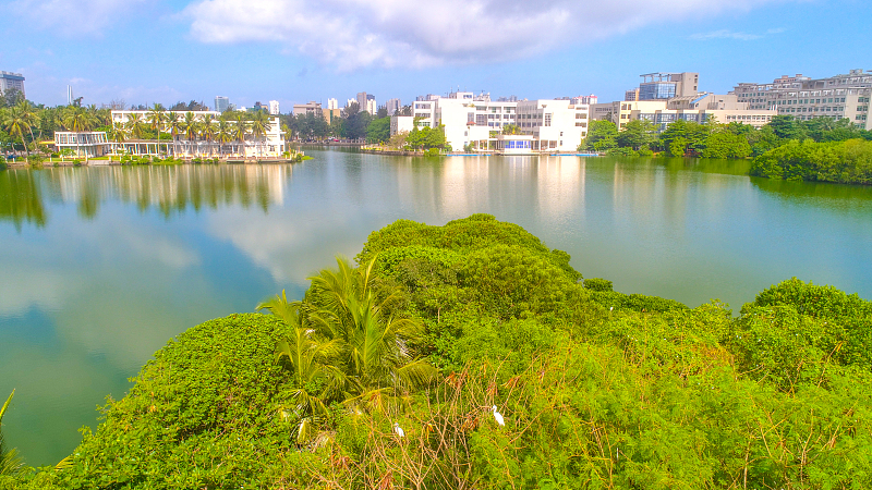 『』这四类专业适合女生报考，未来发展前景好，待遇较高