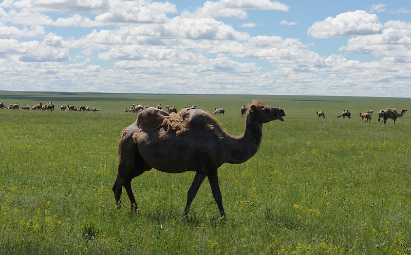 杭州|中国旅游最贵城市,赚钱主要靠“烤全羊”