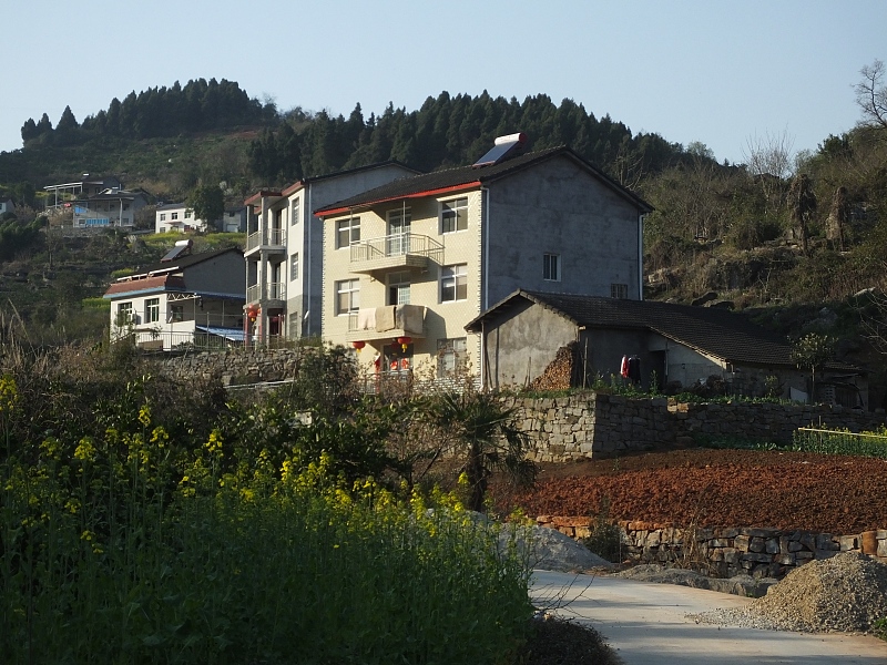 农村宅基地|确权“停止”！2022年起，农村房子统统“这样”处理，不用再争了