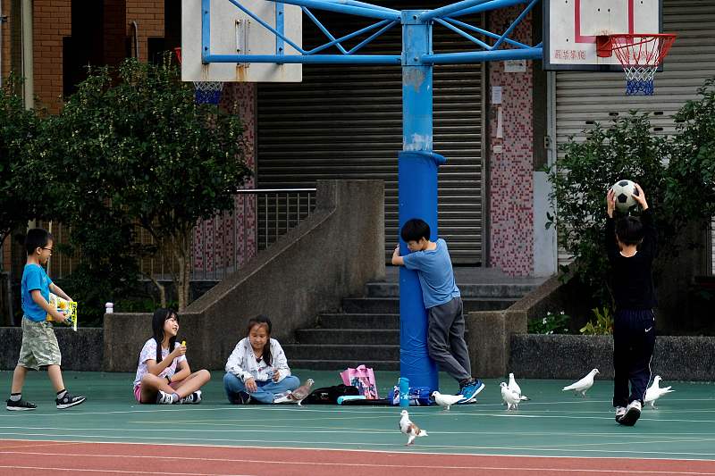 购房置业|人口出生率下滑，2021年“新方案”来了，“半价买房”能否实现