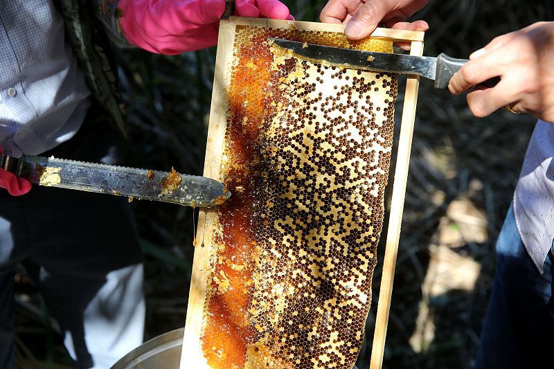 脾胃|大雪将至，养胃正当时，提醒：常吃3种食物，暖脾胃补阳气