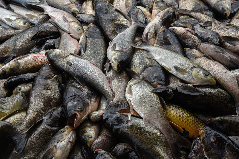 盆腔炎|中老年人有哪些养生之道？养生18法延年益寿