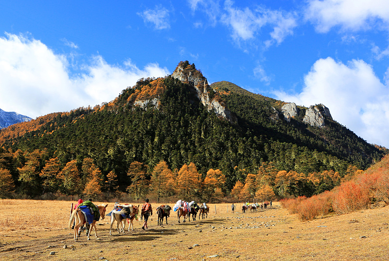 零点星雨 五一快到了，为大家出游准备点干货——怎么拍好风光照