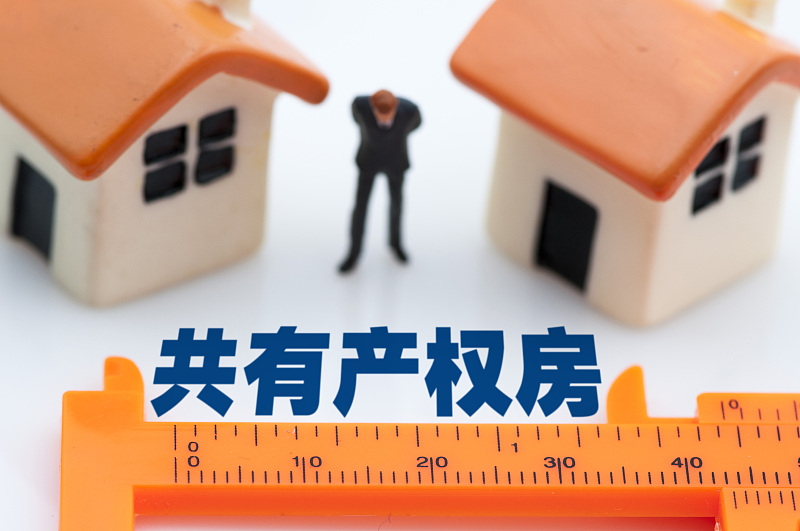重庆|一边人们买不起房子，一边住房过剩，国家老干部提出两个解决方案