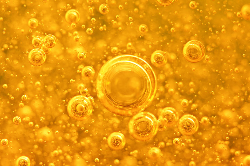 中老年人|海鱼的脂肪含量高,中老年人经常食用会促进动脉粥样硬化?