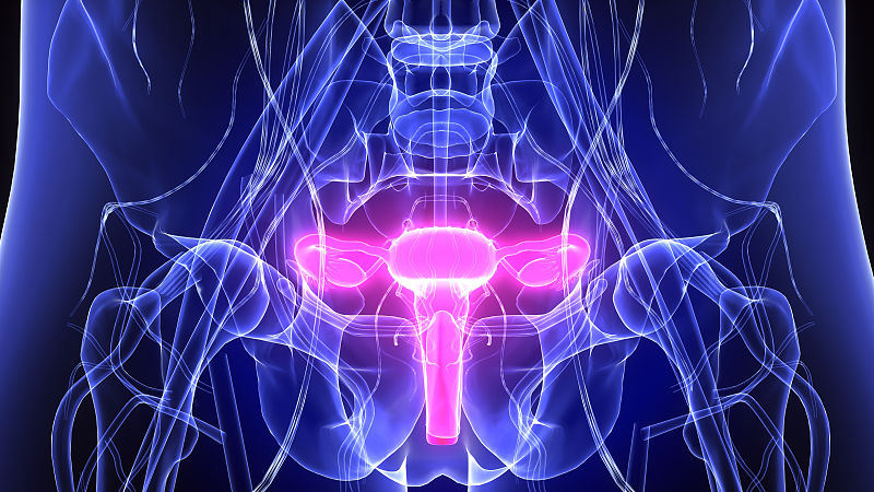 欧大夫养身说 癌症地图来了，广东有哪些常见的恶性肿瘤？