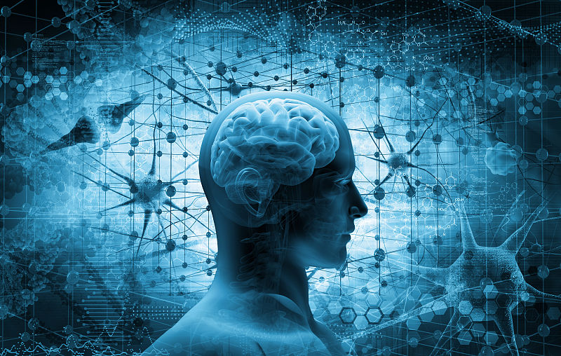 衰老|“人老腿先老”，还是“人老心先老”？什么器官最先出现衰老？