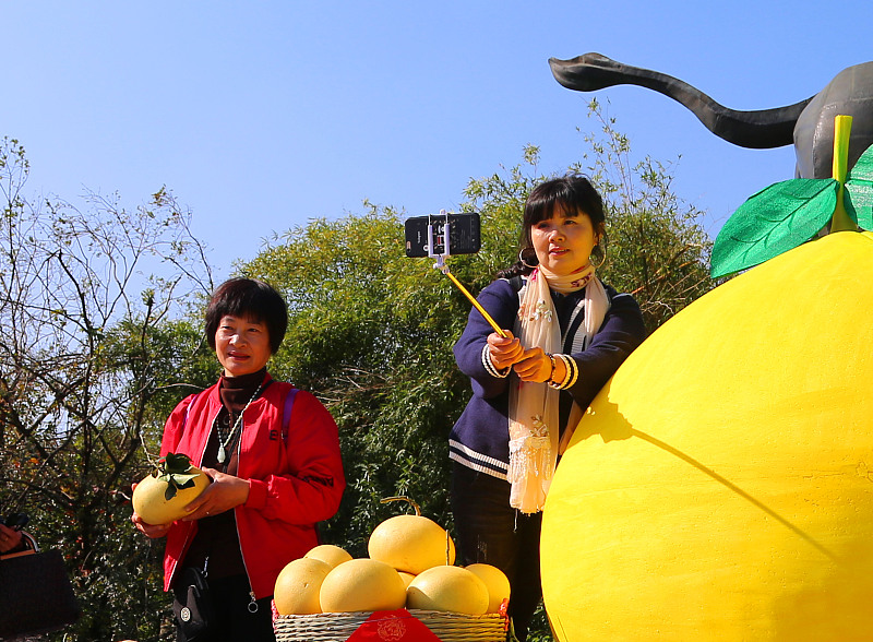 语若语非 台州有奇迹，玉环一个荒山穷村历时12年大发展，产值千万名声远扬