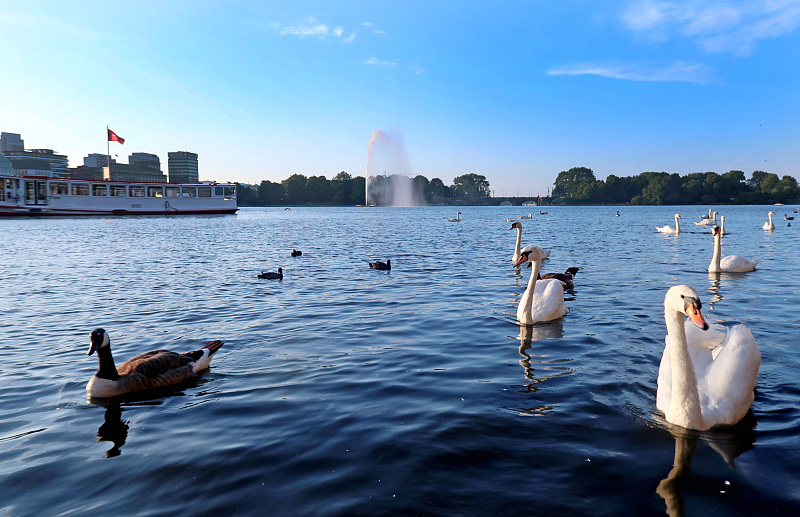 赵丽颖|周深毛晓彤钟镇涛尚雯婕加盟央视中秋晚会，众星云集，舞台唯美