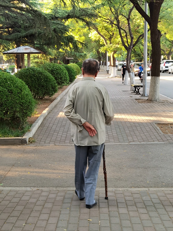 心脏|步入老年后,心脏病是第一大危险因素,生活中如何护理心脏病病人是关键