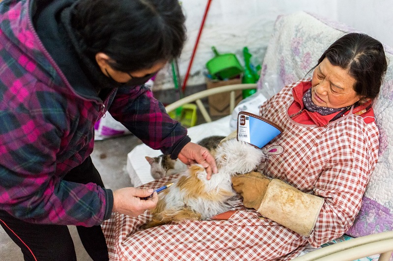 言谈健康|鸡肉是肝病的“发物”？医生建议：若想要养好肝，这3种食物能不吃就不吃