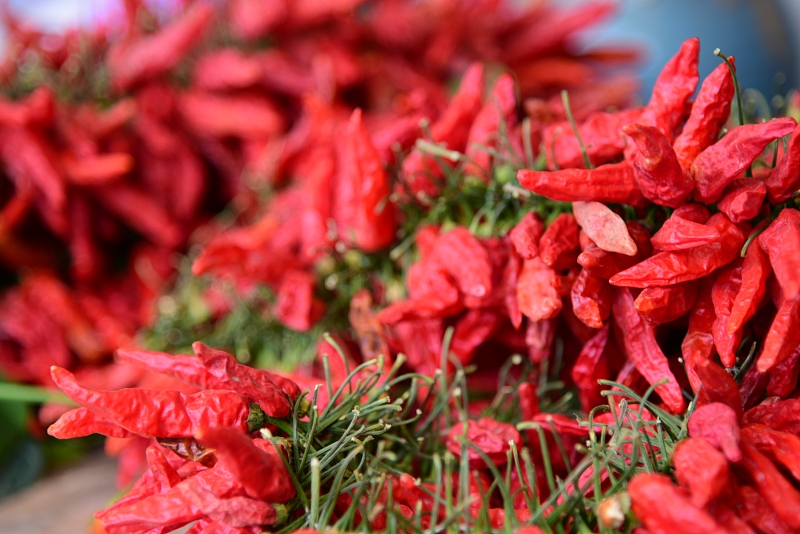 骨质疏松|骨科主任呼吁:请停止摄入“2白一红”,是骨质疏松的“加速器”