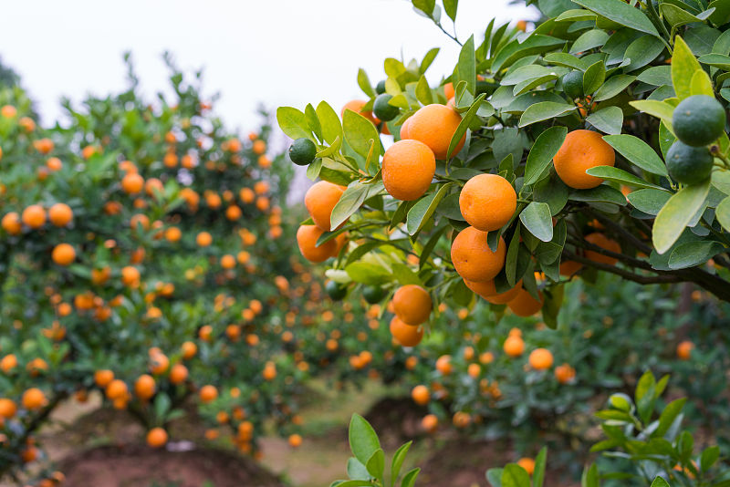 疾病|腹胀是怎么回事？都是胃的问题吗？能引起腹胀的疾病有这6种