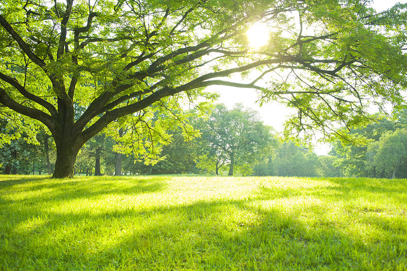 皮肤癌|老年人多晒太阳有利健康吗?究竟几点的太阳最合适?