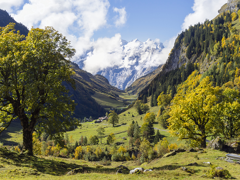 凌小麦|能守好这三个秘密的人,命最好