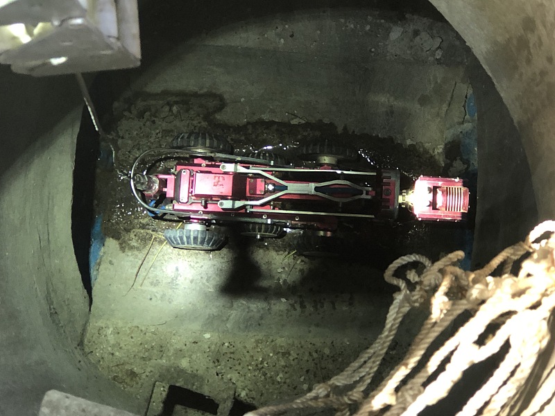 胃癌|胃癌作为国内第一大癌，正确预防是关键